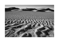 Great Sand Dunes, Colorado 84