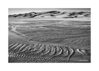 Medano Creek, Great Sand Dunes, Colorado 56