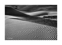 Great Sand Dunes, Colorado 159