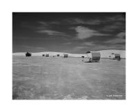  White Sands, New Mexico 113