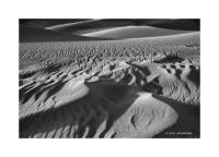 Great Sand Dunes, Colorado 293