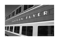 Eastern Flyer, Alamosa, Colorado 28