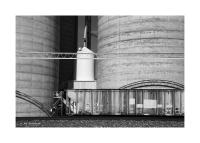 Railroad Car & Grain Elevator, Gurley, Nebraska 195