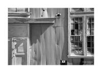 Renovation, Mare Island, California 212