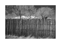 Fence, Fort Garland. Colorado 351
