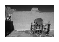 Fort Garland, Colorado 352