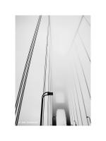 Golden Gate Bridge, San Francisco, California 227