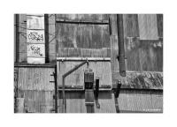 Grain Elevator, Greeley, Colorado 152