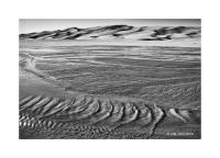 Medano Creek, Great Sand Dunes, Colorado 56