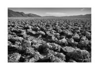 Devils Golf Course, Death Valley, California 149