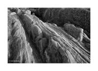 Weston Beach, Point Lobos, California 222